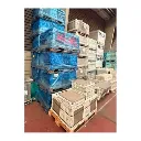 AMARCORD TORTORA STOCK.webp