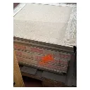 SCOUT BEIGE STOCK.webp