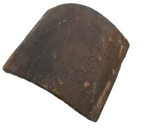 reproductie oude boomse vorst.webp