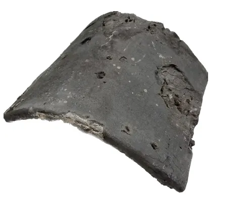 oude boomse vorst.webp