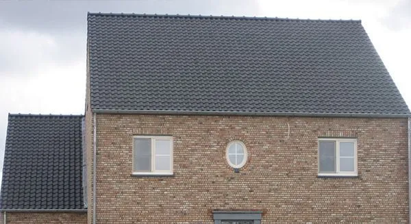 0005001_edilians-panne-s-leikleur-dakpan.webp