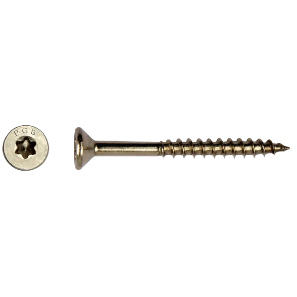 SCHROEF INOX A2 TORX T20 - 4x60