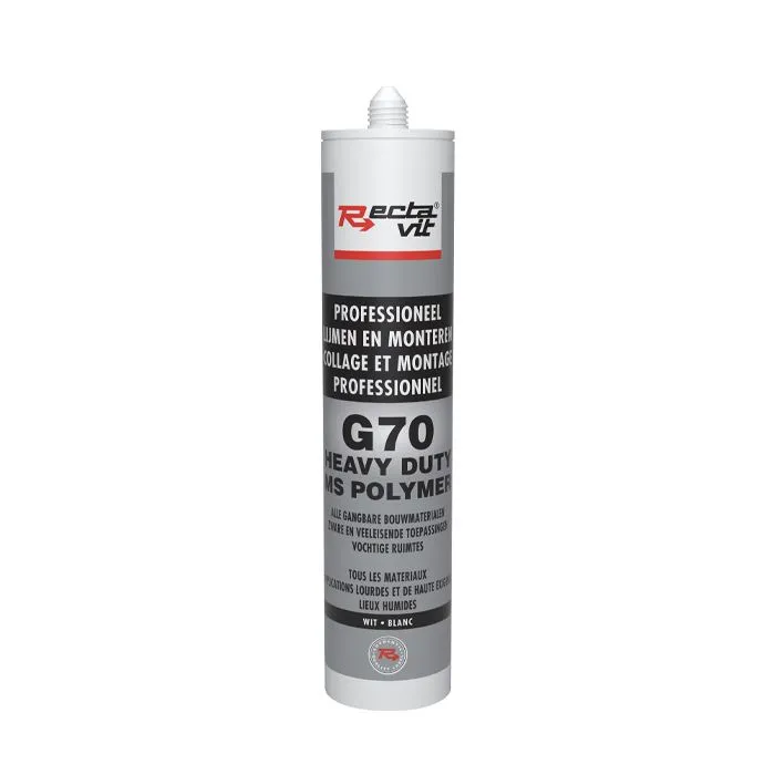 [SRE119573] RECTAVIT G70 HEAVY DUTY WIT 290ML