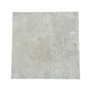 TENBY BEIGE NAT. RECT. 60X60