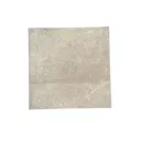 ECOPROJECT GREIGE NAT.REC. 60X60