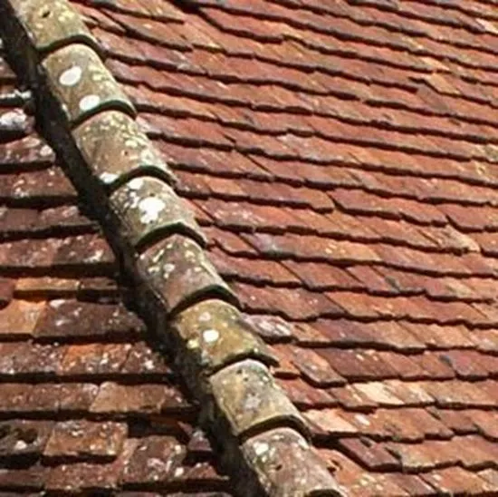 [DABHBTEGELPAN] RECUPERATIE BOURGONDISCHE  TEGELPANNEN - DAKPAN