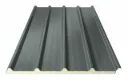 PROFIELPLAAT ECOPANEEL - GS40 - 3CM. BR.1,05M. X LE.5,10M