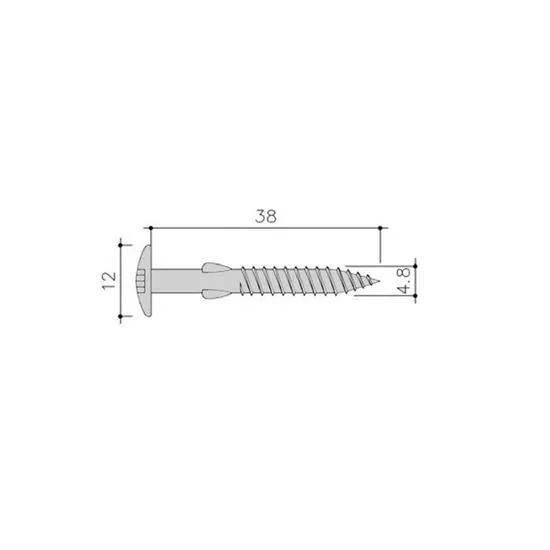 [DET4043163] SIDING SCHROEF TORX+VLGLS 100ST 4,8X38 RVS C03 KLEI