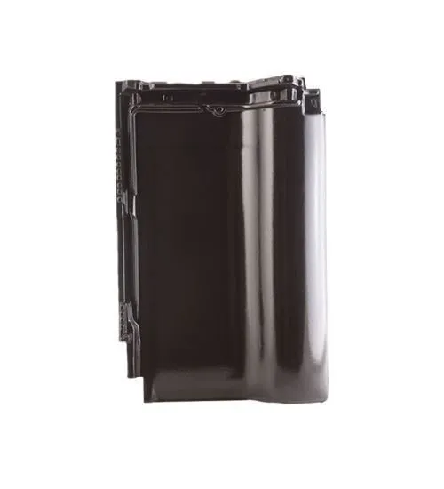 [DROMONPLSMPAN] ROBEN MONZA PLUS ZWART BLINKEND DAKPAN