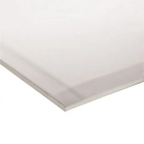 GIPSPLAAT WIT AK 300x120 13MM 1STE