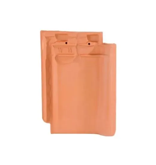 MONOPOLE ROOD DAKPAN