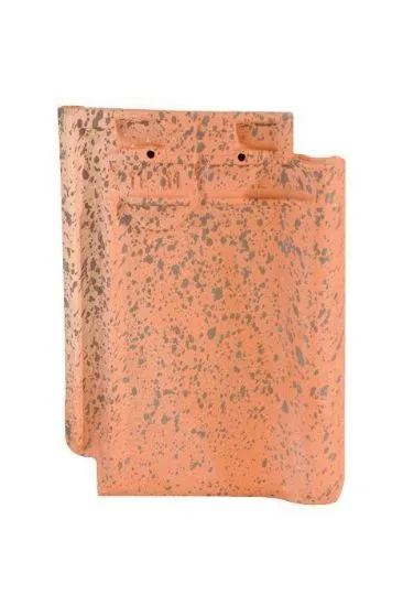 MONOPOLE VIEUX NORD DAKPAN