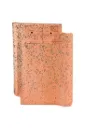 MONOPOLE VIEUX NORD DAKPAN