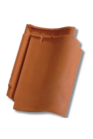PANNE S ROOD DAKPAN