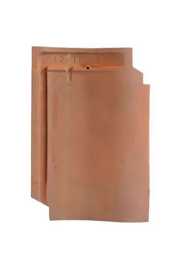 PANNE S RUSTIEK DAKPAN